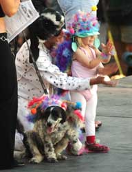 2003 Pet Masquerade photo - Duval Street, Key West